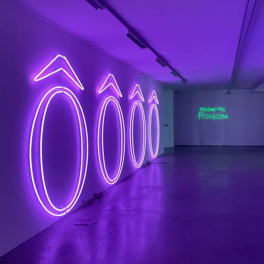 💄 Thunderb - Sylvie Fleury - Musée Régional d'Art Contemporain Occitanie - 1