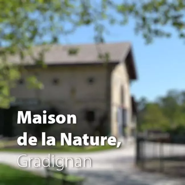 f9600514699d4e0d9b06b05a170703be.base.image