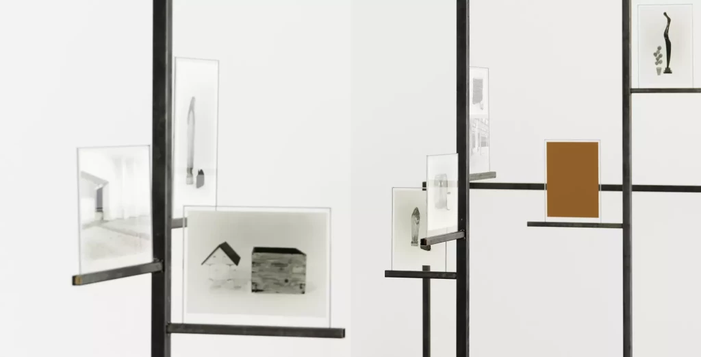 header2-MAMC_Charlotte_Moth