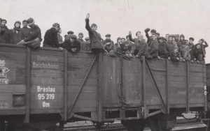 image_processing20251215-27562-8k3udm