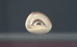 Laura-Bottereau-Marine-Fiquet-Effets-daffects-2023-2026-extrait-dun-ensemble-de-photographies-courtesy-des-artistes-coproduction-des-artistes-et-du-cccod-Tours-Prix-mte-avec-le-soutien-du-Cnap-©Adagp-Paris