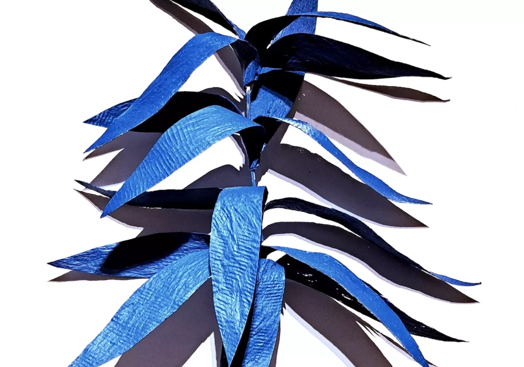 ©-Lucie-Reverdiau-scaled