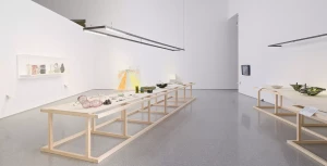 MAMC-2025-Cirva-080_0