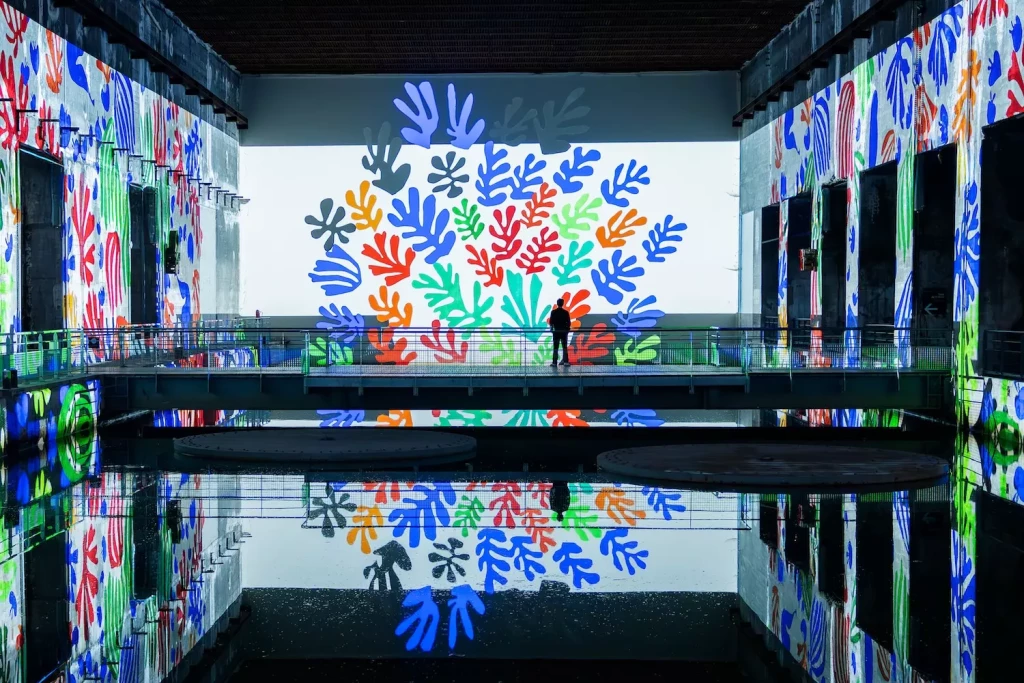 matisse_bassins_des_lumieres_1