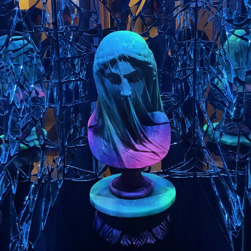 Miroir Miroir - Toulouse - Imer - 2