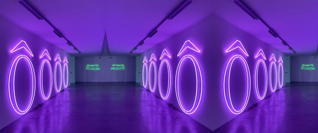 Vue de l'exposition Thunderb de Sylvie Fleury au Musée Régional d'Art Contemporain Occitanie