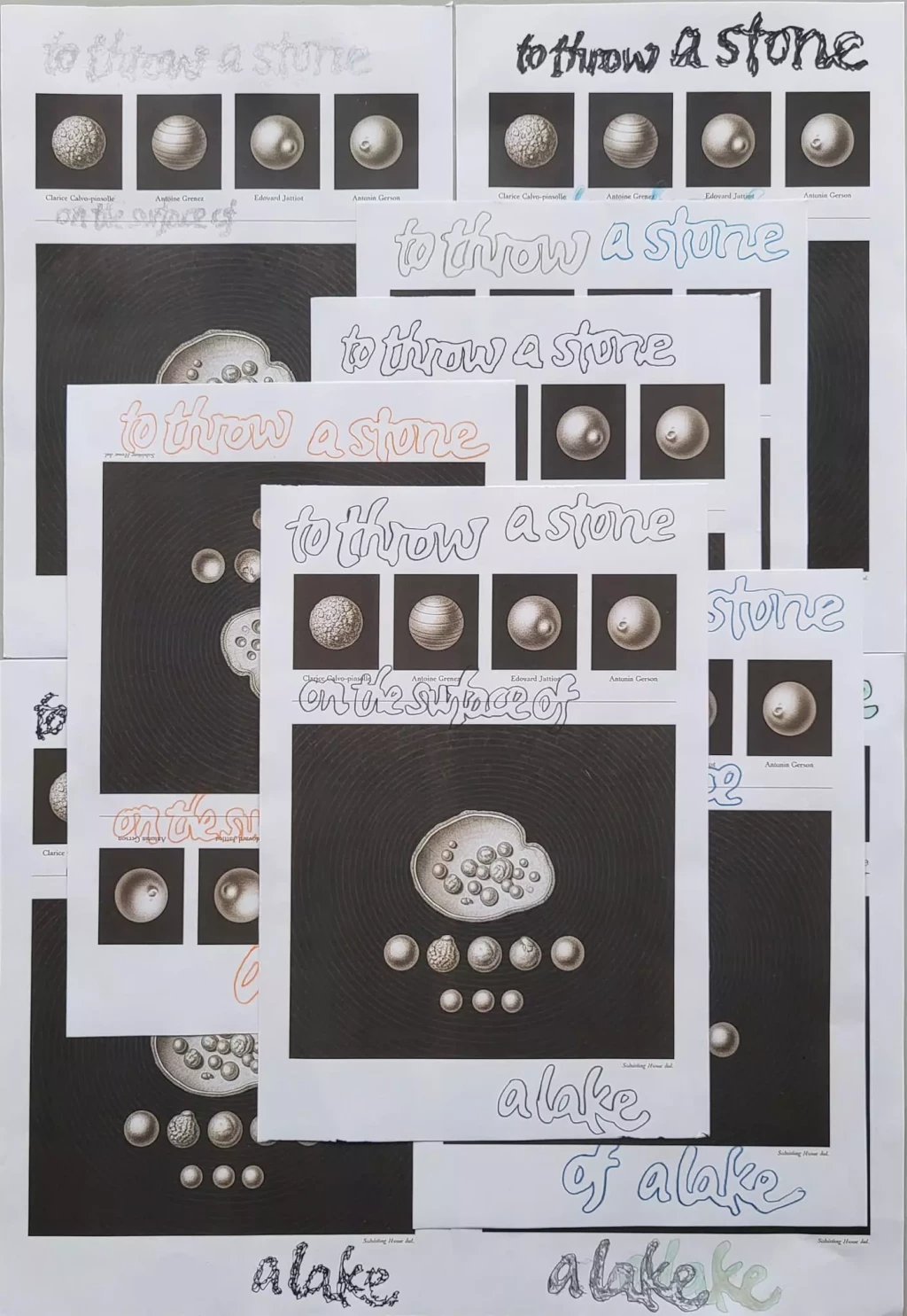 WhatsApp-Image-2026-02-22-at-08.07.56