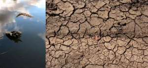 25fdf8b97a431362473fabbd823a02f60b19ab62 - copie