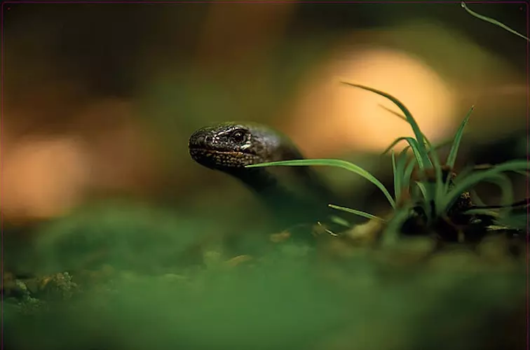 csm_2026ex_2_22312470c8