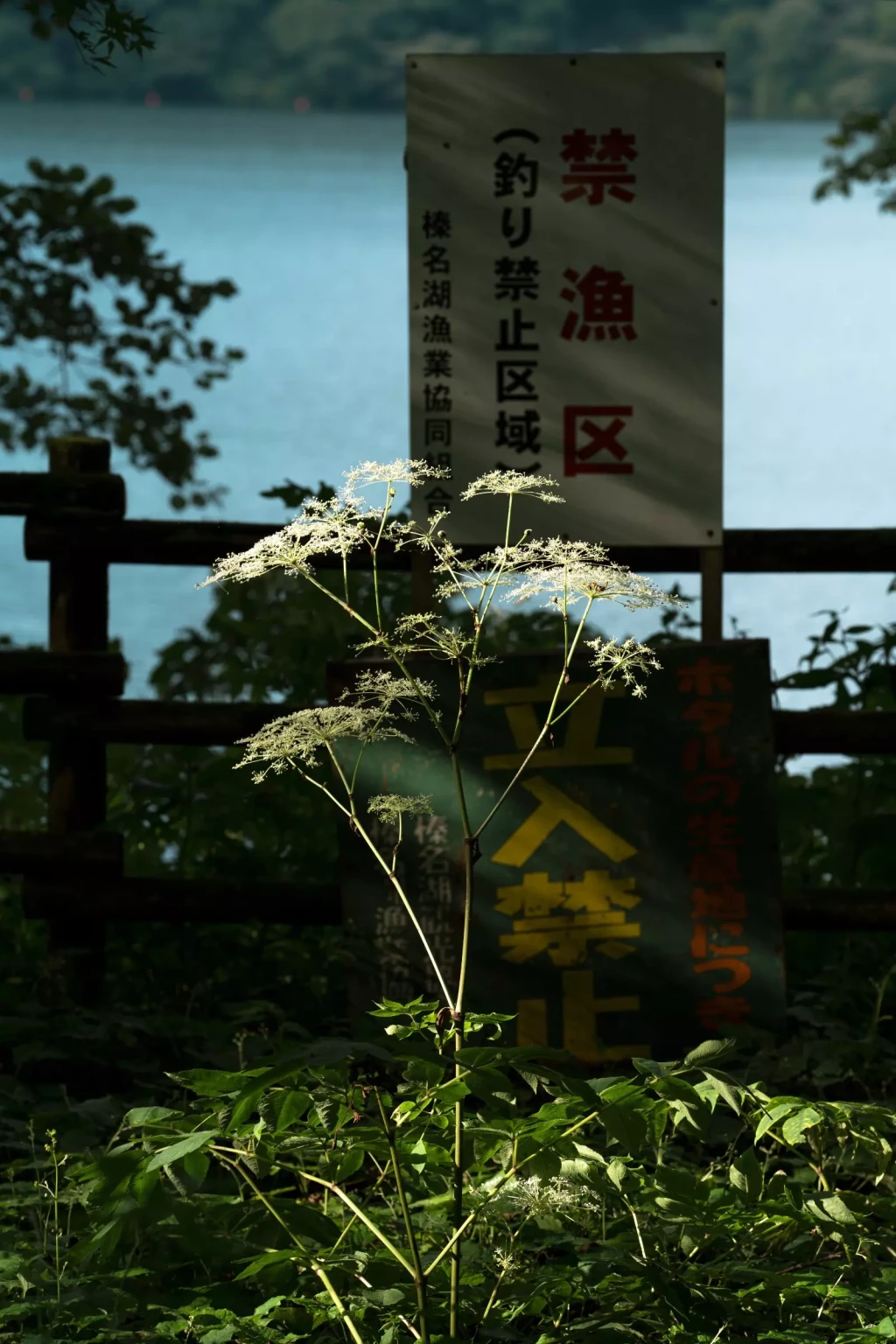 hideki_umezawa_haruna_lake_2_2021