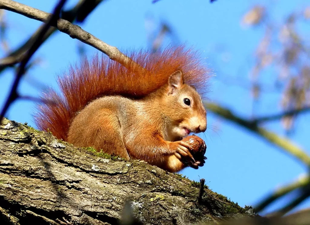 illustration-exposition-tout-pres-de-nous-d-evelyne-morel_1-1772445188