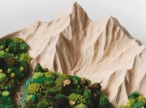 illustration-supernature_1-1770978894