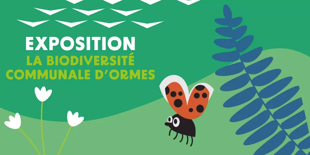 SITE-INTERNET_EXPO-IBCok-scaled