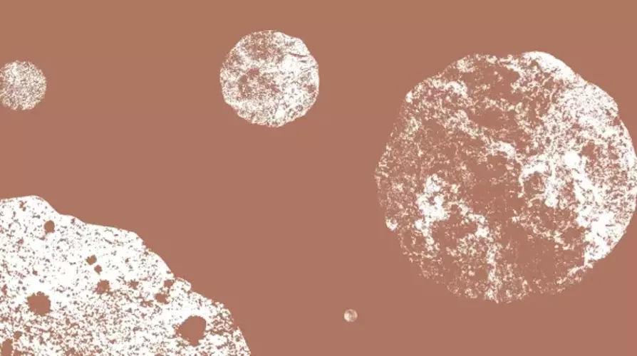 vivre-_plusieurs_langues-MUSEES - copie