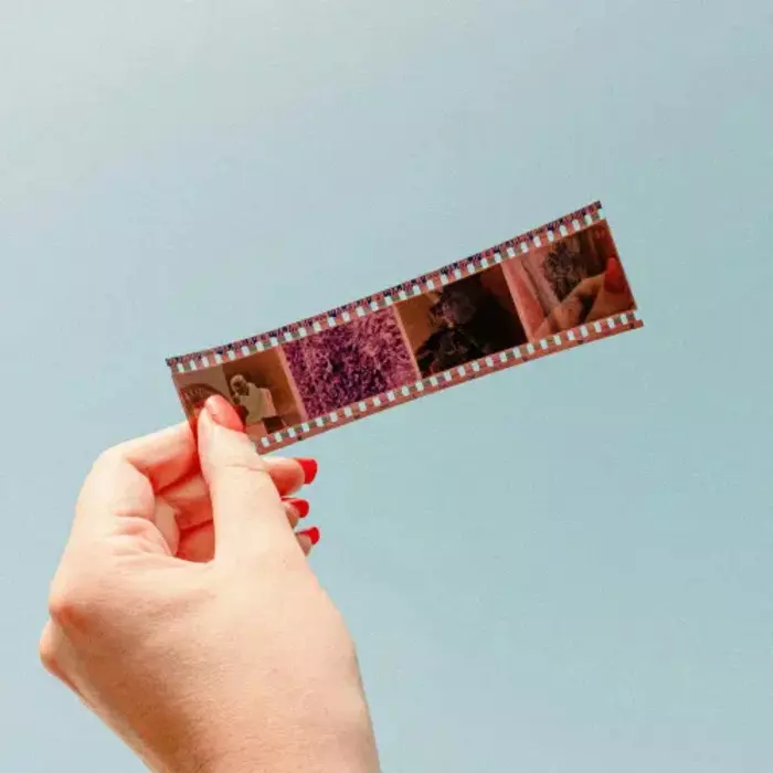 104ca6306271453a85a64ccc5acaf9ea.base.image