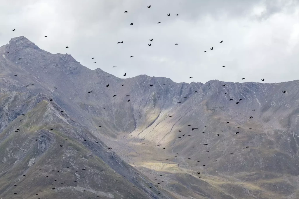 2026-03-10-10-41-21_EMPaysageduLoupPresse001