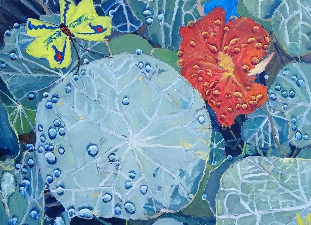 56-248-38860856 - copie