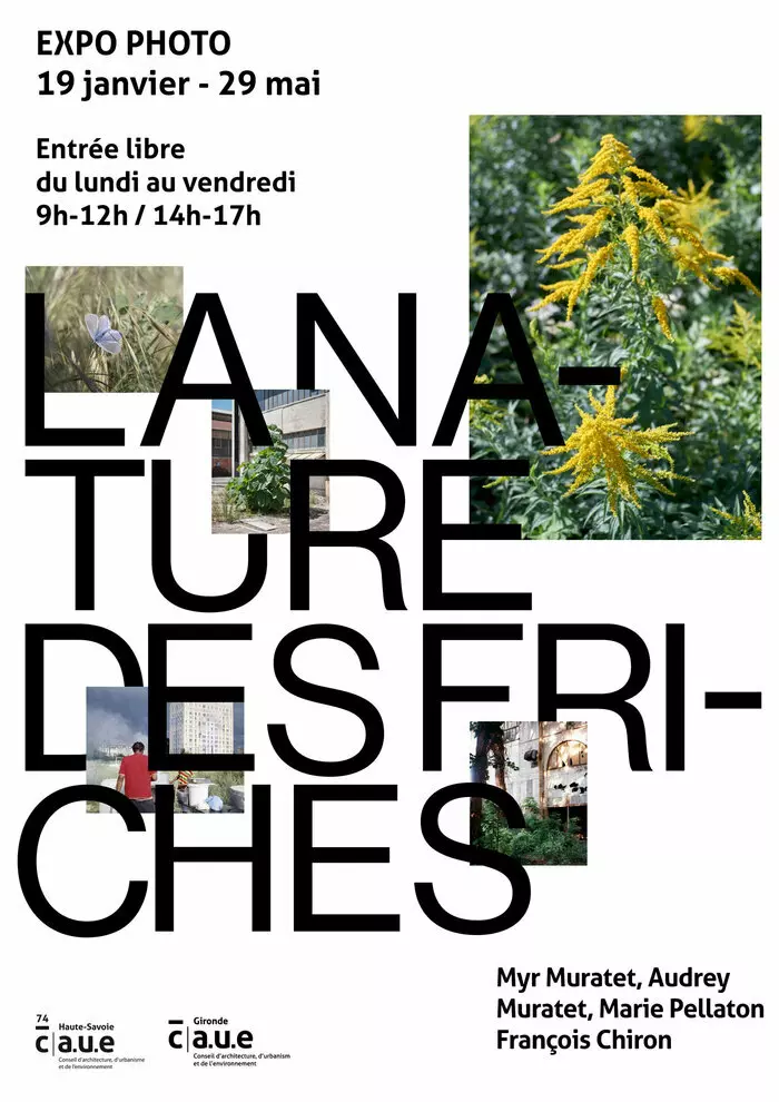 5da2ebae4db84b358e4e3ed4a64ab6b4.base.image