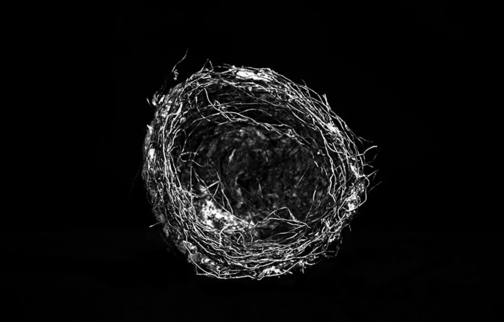 Capture d’écran 2026-04-23 à 00.27.18