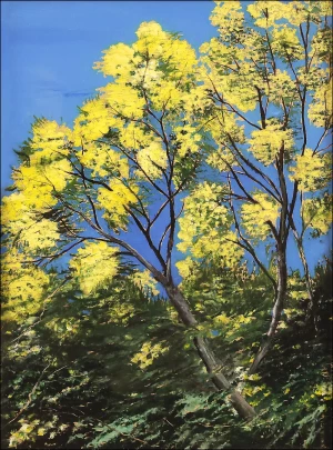 R26CD0107GGG_0068 - copie