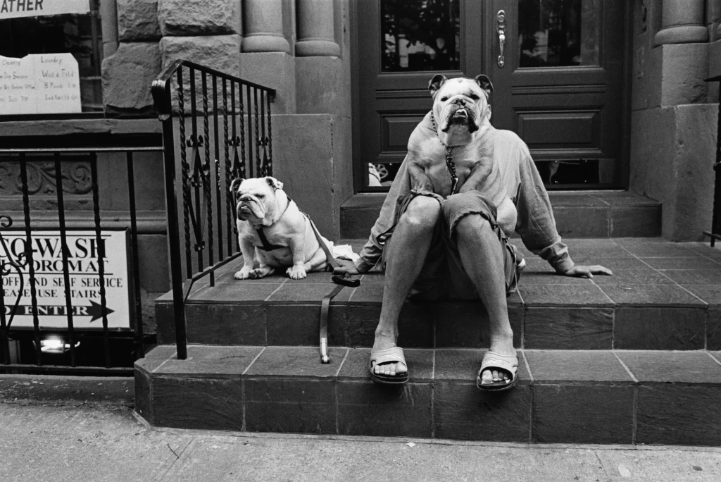Image : Eliott Erwitt, New York City, États-Unis, 2000