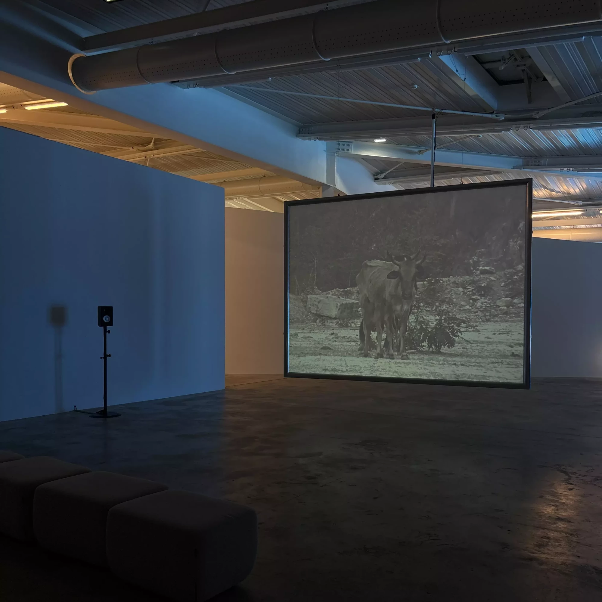 😴 Chambres, ghosts & digitales - La MECA - FRAC - 56