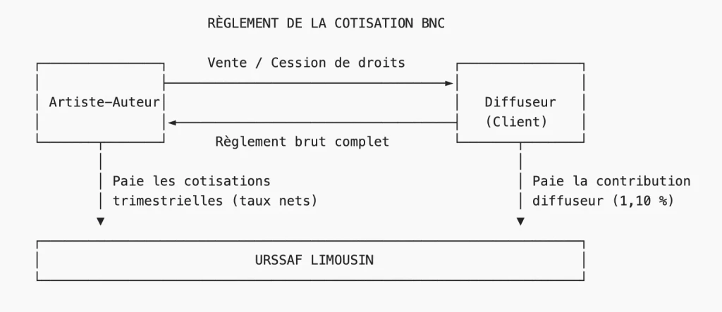 RÈGLEMENT DE LA COTISATION BNC