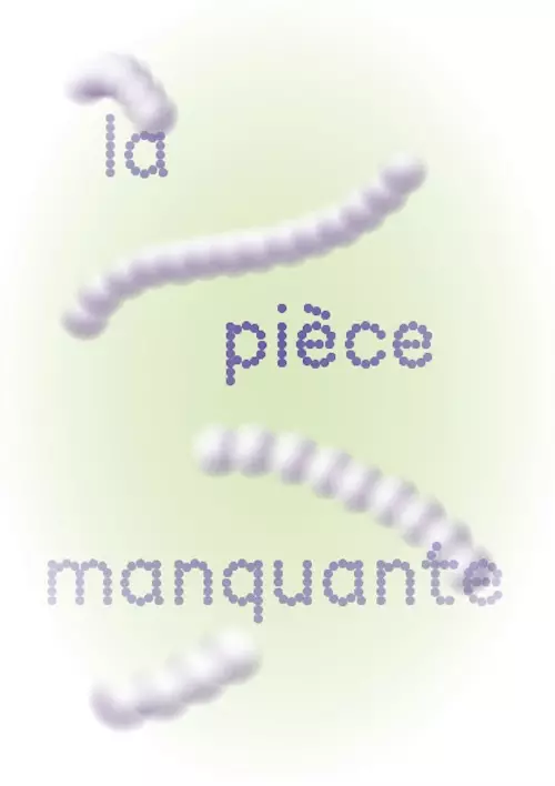 unnamed-6