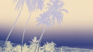 8f34414b-121b-42f8-a3b5-b66a69deee62