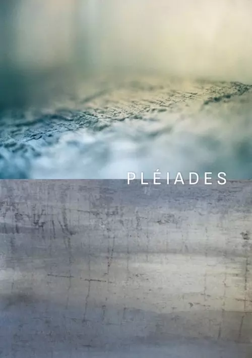 Flyer-Pleiades_1 (1)