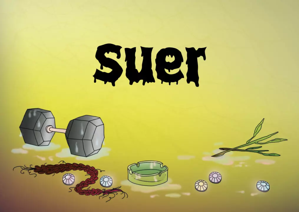 Suer-carton-1015x720