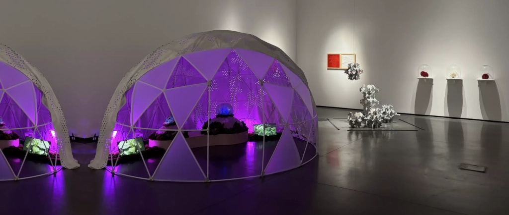 Vue de l'exposition À l’écoute du vivant. Biomimétisme, entre arts et sciences au Abattoirs de Toulouse